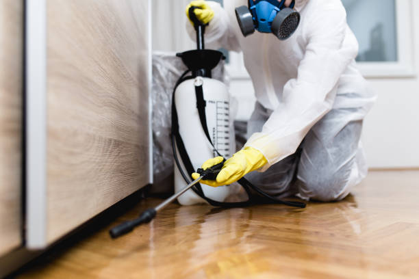 Best Pest Prevention Services  in Teays Valley, WV