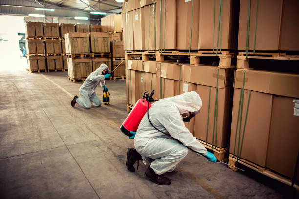 Best Pest Removal Services  in Teays Valley, WV