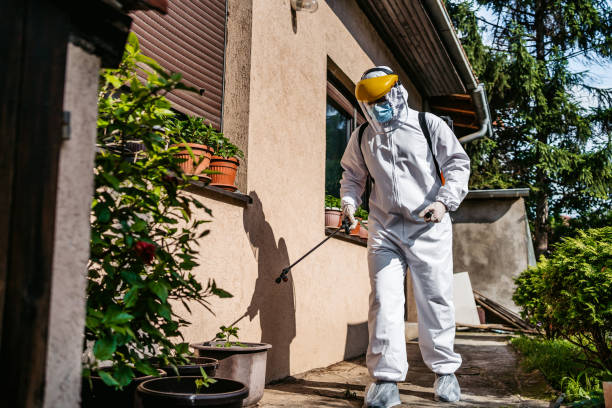 Best Mosquito Control Services  in Teays Valley, WV