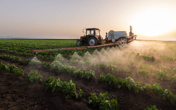 Best Pest Removal Services  in Teays Valley, WV