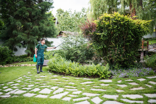 Best Exterminator Services  in Teays Valley, WV