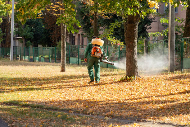 Best Wasp Removal Services  in Teays Valley, WV