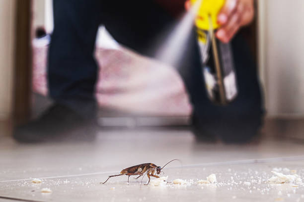 Best Affordable Pest Control Services  in Teays Valley, WV
