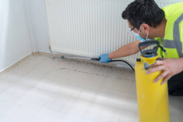Best Bed Bug Extermination  in Teays Valley, WV