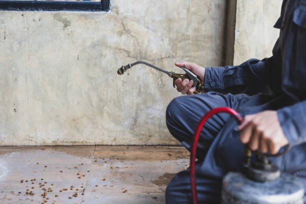 Best Commercial Pest Control Services  in Teays Valley, WV